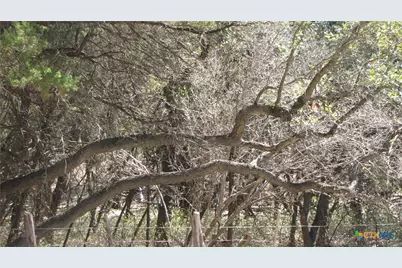 678 Cannan Road, Canyon Lake, TX 78133 - Photo 4