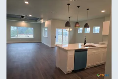 206 Lewis Todd, Blanco, TX 78606 - Photo 6