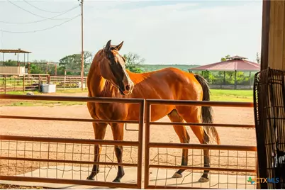 2055 County Road 284, Liberty Hill, TX 78642 - Photo 32