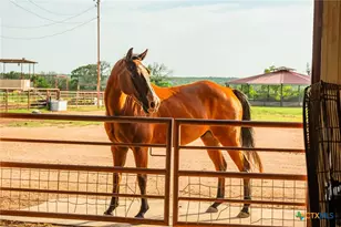 2055 Co Rd 284, Liberty Hill, TX 78642 - Photo 32