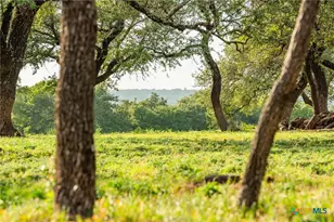 2055 Co Rd 284, Liberty Hill, TX 78642 - Photo 36