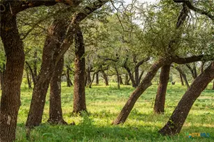 2055 Co Rd 284, Liberty Hill, TX 78642 - Photo 40