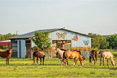2055 County Road 284, Liberty Hill, TX 78642 - Photo 30