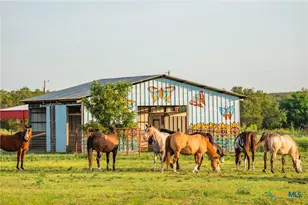 2055 Co Rd 284, Liberty Hill, TX 78642 - Photo 30