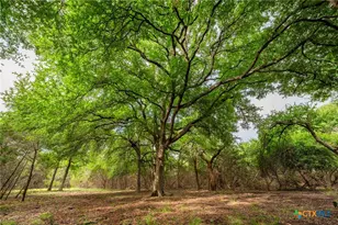 2055 Co Rd 284, Liberty Hill, TX 78642 - Photo 34