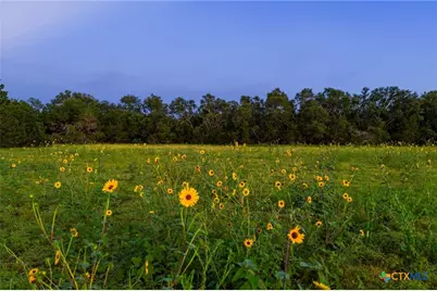 000 Cr 284, Liberty Hill, TX 78642 - Photo 6