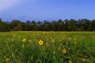 000 Cr 284, Liberty Hill, TX 78642 - Photo 6