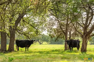 000 Cr 284, Liberty Hill, TX 78642 - Photo 32