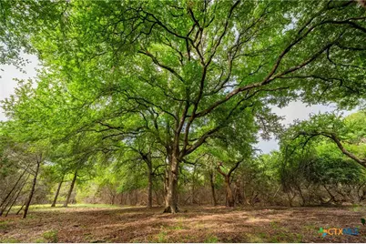 000 Cr 284, Liberty Hill, TX 78642 - Photo 30