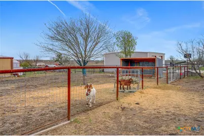 2283 Schwab Road, Marion, TX 78124 - Photo 38