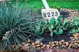 1223 Gruene Vintage, New Braunfels, TX 78130 - Photo 2