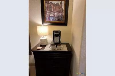 1223 Gruene Vintage, New Braunfels, TX 78130 - Photo 4