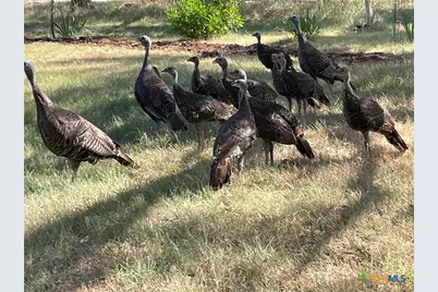 7511 N Lakeview Drive, Salado, TX 76571 - Photo 44