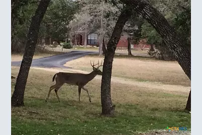 7511 N Lakeview Drive, Salado, TX 76571 - Photo 42