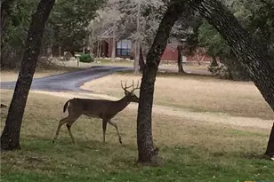 7511 N Lakeview Dr, Salado, TX 76571 - Photo 42