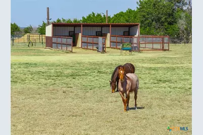 417 County Road 60, Gatesville, TX 76528 - Photo 20