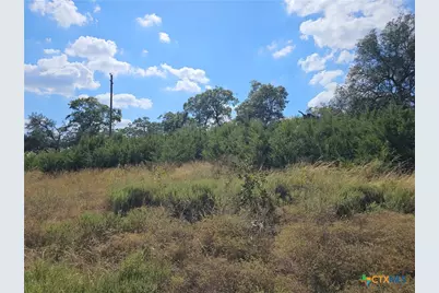 Tbd-29.38 Acres Greenbriar Road, Gatesville, TX 76528 - Photo 10