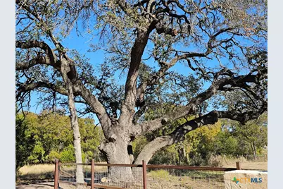 Tbd-29.38 Acres Greenbriar Road, Gatesville, TX 76528 - Photo 2