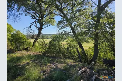 Tbd-29.38 Acres Greenbriar Road, Gatesville, TX 76528 - Photo 6