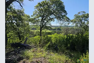 Tbd-29.38 Acres Greenbriar Road, Gatesville, TX 76528 - Photo 8