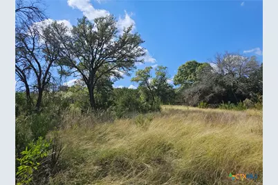 Tbd-29.38 Acres Greenbriar Road, Gatesville, TX 76528 - Photo 4