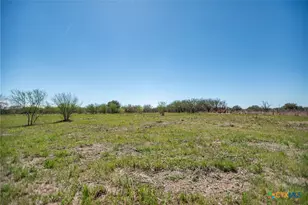 817 McAdams Rd, Goliad, TX 77963 - Photo 42