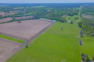 1500 Co Rd 405, Buckholts, TX 76518 - Photo 44