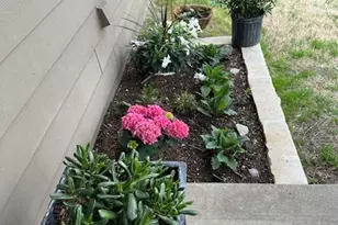 412 Dandridge Dr, Temple, TX 76592 - Photo 42