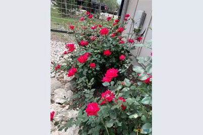 2046 Mulberry Circle, Spring Branch, TX 78070 - Photo 16