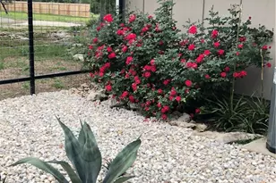 2046 Mulberry Cir, Spring Branch, TX 78070 - Photo 12