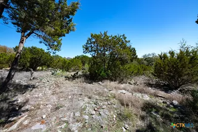 339 Valley Lodge, New Braunfels, TX 78132 - Photo 10