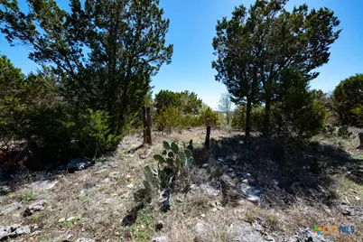 339 Valley Lodge, New Braunfels, TX 78132 - Photo 8