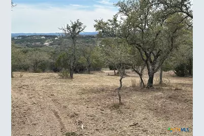 344 Bosque Ridge, Spring Branch, TX 78070 - Photo 2