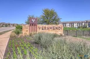 382 Nightshade Trl, New Braunfels, TX 78132 - Photo 42