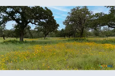 104 Longhorn Road, Stockdale, TX 78160 - Photo 36