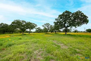 104 Longhorn Rd, Stockdale, TX 78160 - Photo 24