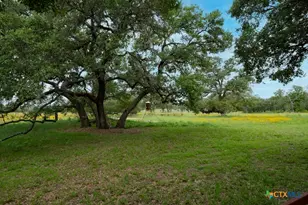 104 Longhorn Rd, Stockdale, TX 78160 - Photo 32