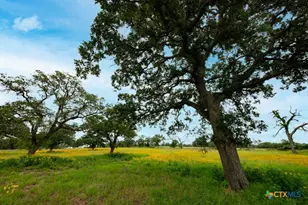 104 Longhorn Rd, Stockdale, TX 78160 - Photo 24