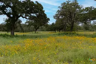 104 Longhorn Rd, Stockdale, TX 78160 - Photo 36