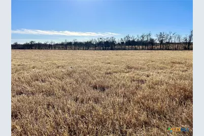8571 Pecan Road, Troy, TX 76579 - Photo 4