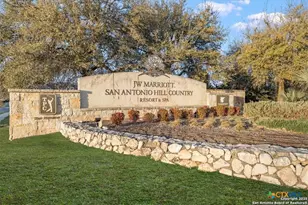 24314 Downhill Lie, San Antonio, TX 78261 - Photo 46