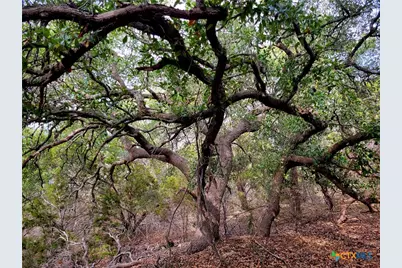 2066 Stallion Springs Drive, Fischer, TX 78623 - Photo 2