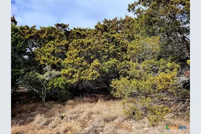 2066 Stallion Springs Drive, Fischer, TX 78623 - Photo 1