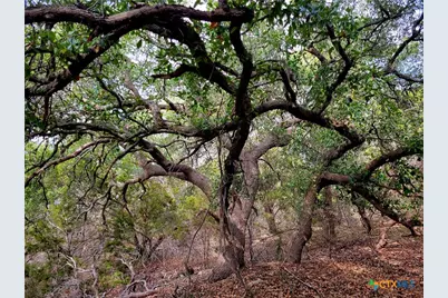 2066 Stallion Springs Drive, Fischer, TX 78623 - Photo 4