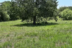 Tract 3D Hwy 95, Smithville, TX 78957 - Photo 6