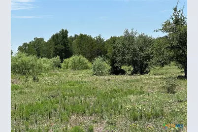 Tract 3D Hwy 95, Smithville, TX 78957 - Photo 4