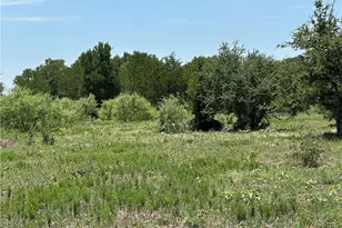 Tract 3D Hwy 95, Smithville, TX 78957 - Photo 4