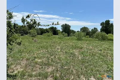 Tract 3D Hwy 95, Smithville, TX 78957 - Photo 10