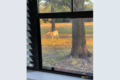 10794 Fm 2159, Calvert, TX 77837 - Photo 22