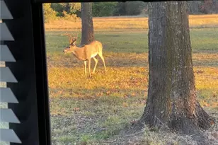 10794 FM 2159, Calvert, TX 77837 - Photo 22